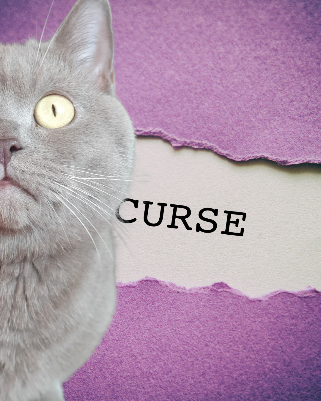 名称未設定のデザイン (80) 名称未設定のデザイン (80)