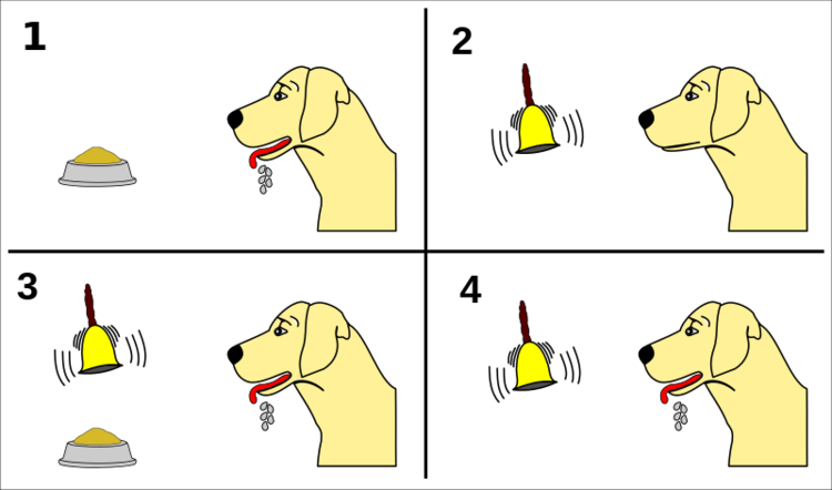 Pavlov's_dog_conditioning