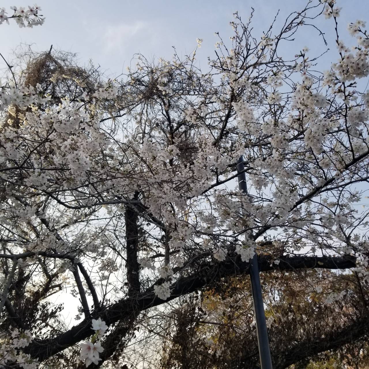 画像の説明 画像の説明