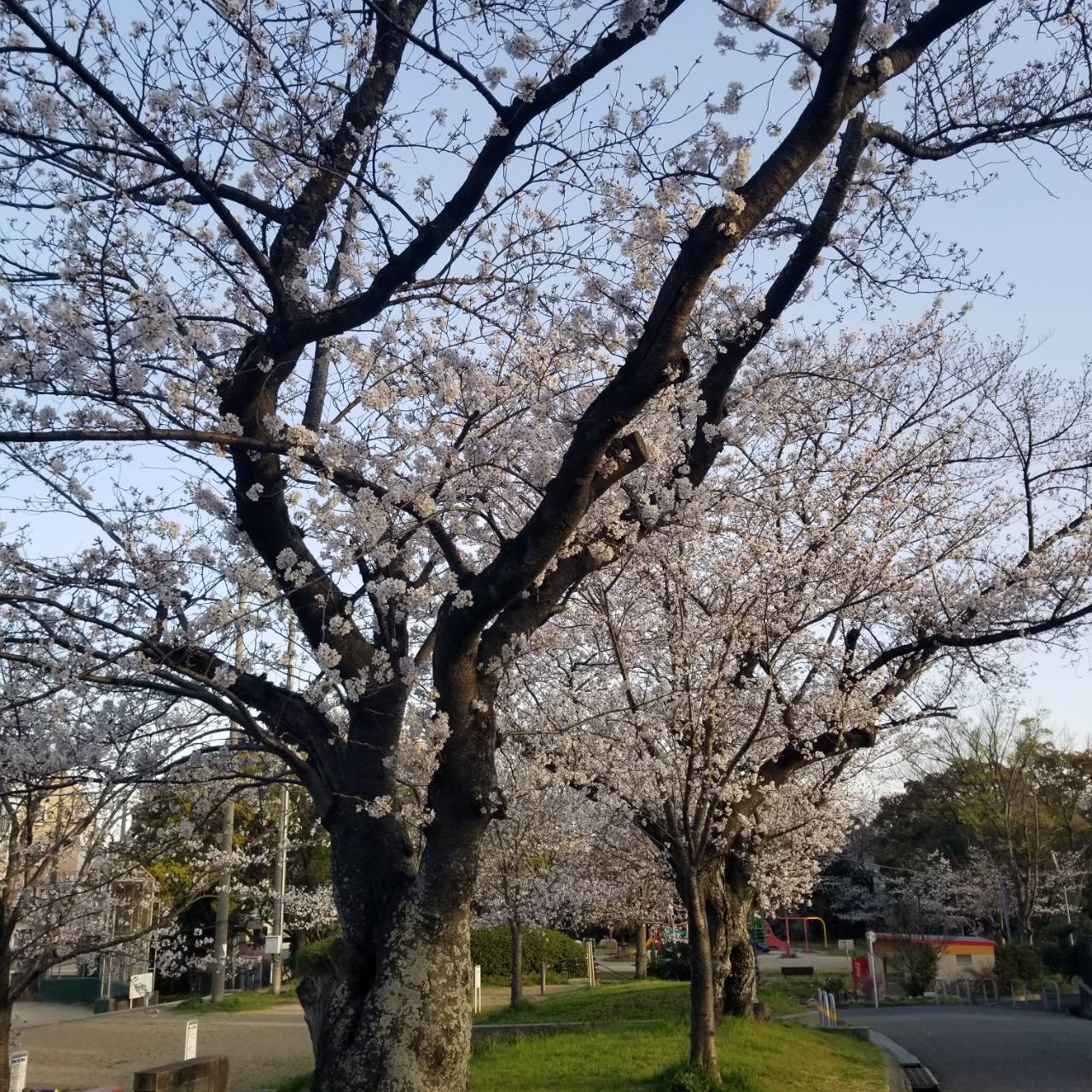 画像の説明 画像の説明